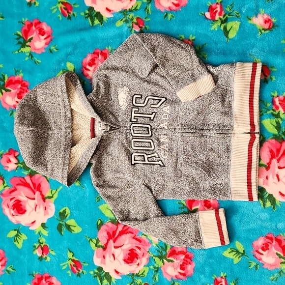 Roots Kids cabin hoodie - Picture 1 of 4